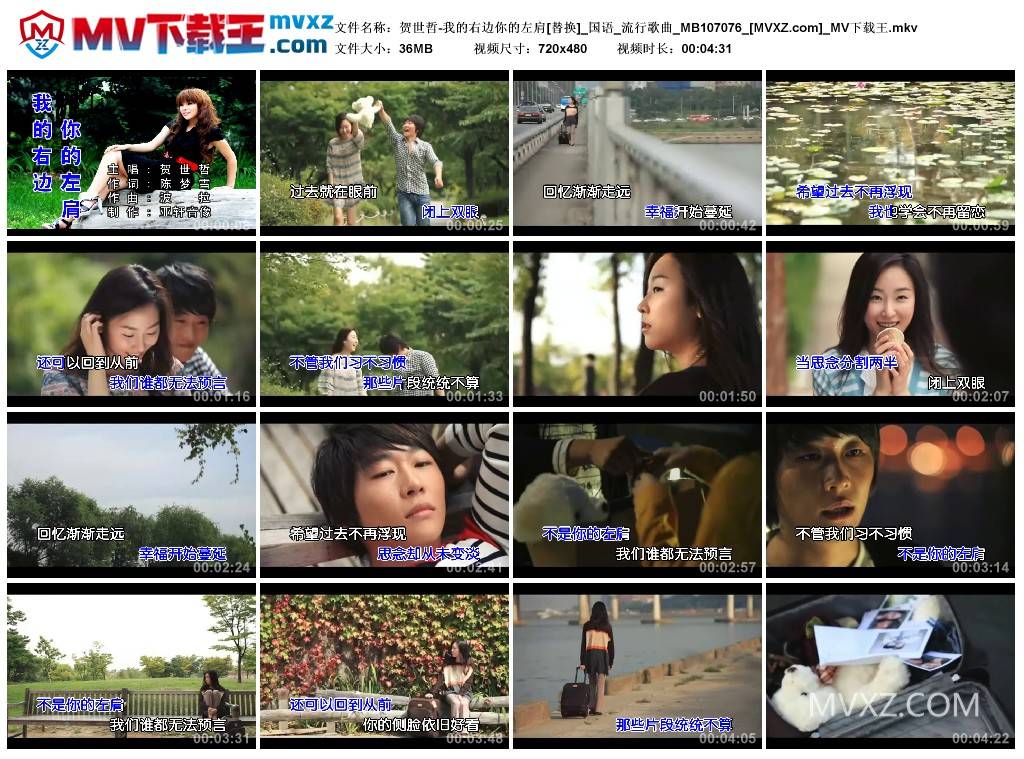 贺世哲-我的右边你的左肩[替换]_国语_流行歌曲_MB107076